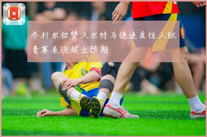 乔科尔称赞沃尔特马德速度惊人欧青赛表现超出预期
