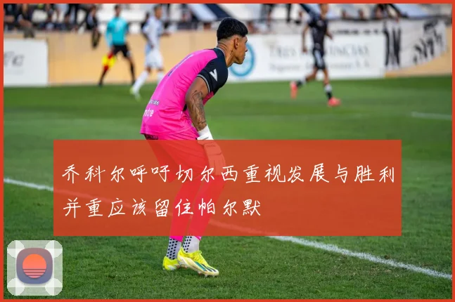 乔科尔呼吁切尔西重视发展与胜利并重应该留住帕尔默