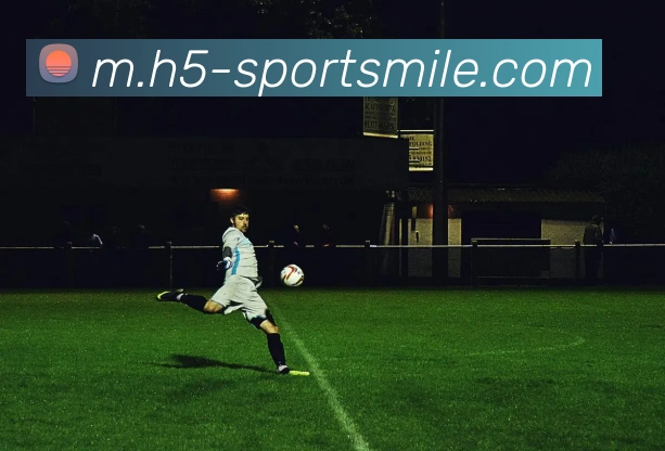 米乐体育APP 封面图